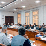 local government tenure