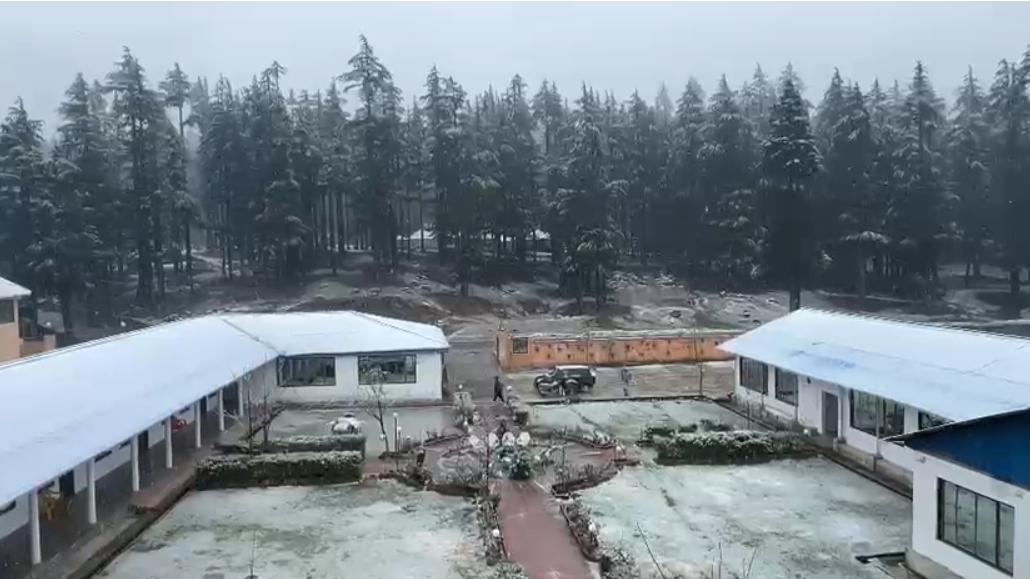 PDMA issues alert, predicts more torrential rains in KP