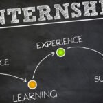 The government of Punjab has introduced a new initiative, the Climate Leadership Internship Program, for university students.