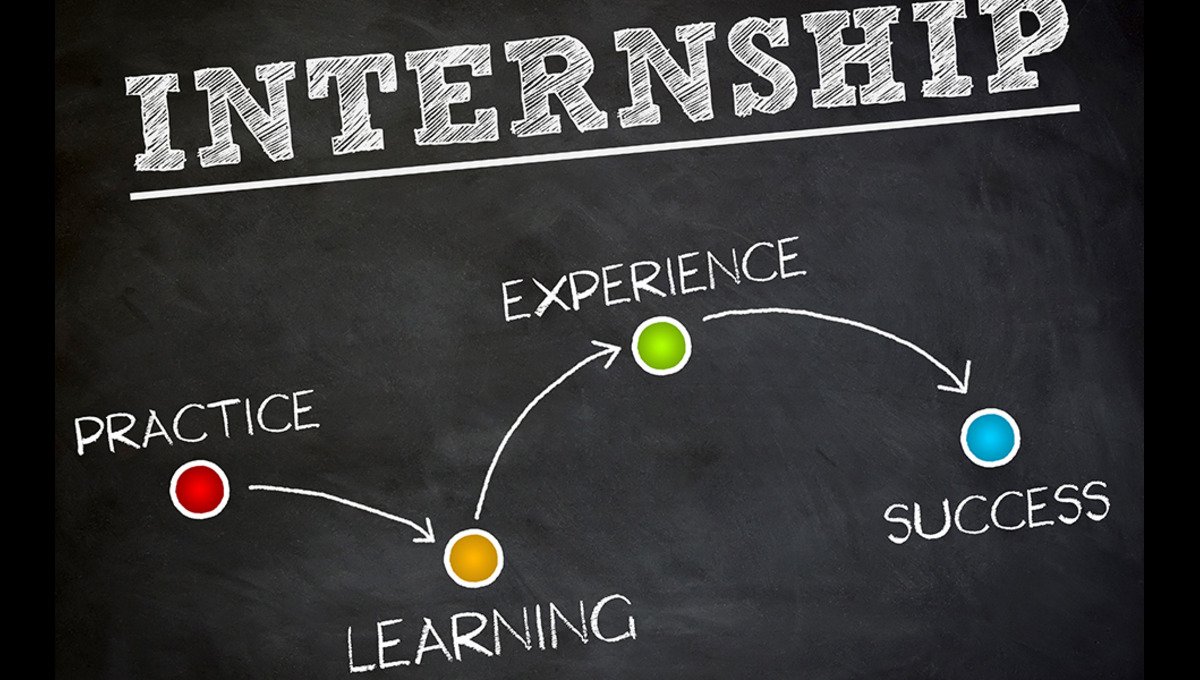 Students can earn Rs60,000 monthly through climate internship — apply now