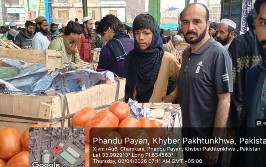 businesses run by Afghan refugees