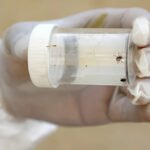 Health Department of Khyber Pakhtunkhwa (KP) has issued an alert in hospitals across the province to prevent the spread of Congo Virus (CCHF) ahead of Eid-ul-Adha.