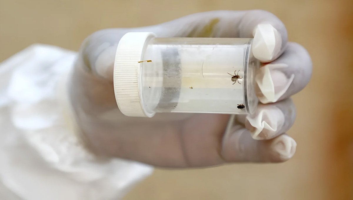 Congo virus alert issued in KP hospitals ahead of Eid