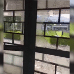 Violent student protests