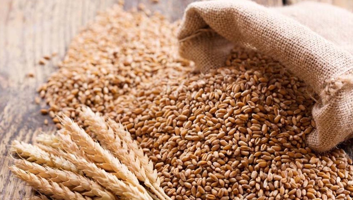 KP govt announces wheat procurement policy 2026