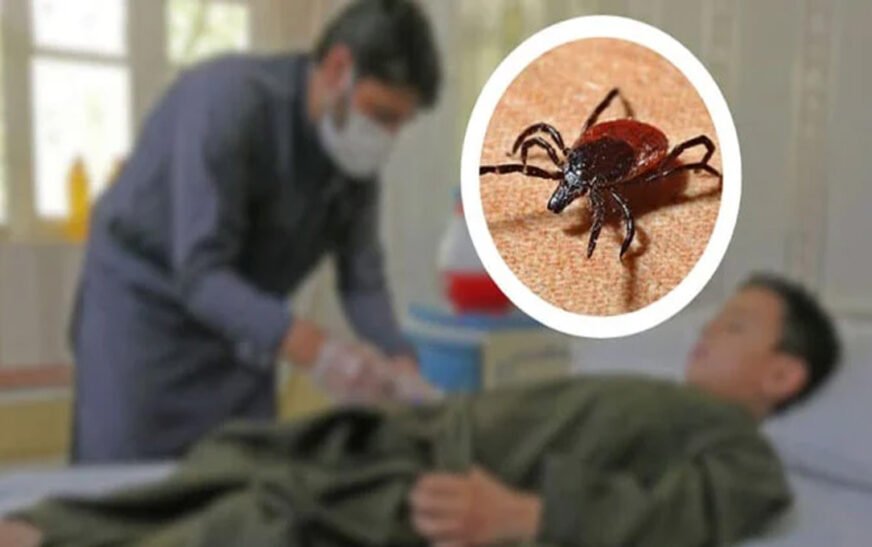 The National Institute of Health (NIH) issued a warning about the likelihood of spreading the Congo fever disease during the Eid-ul-Adha holidays.
