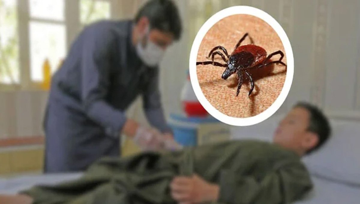 NIH Issues Congo Fever Warning Ahead of Eid-ul-Adha