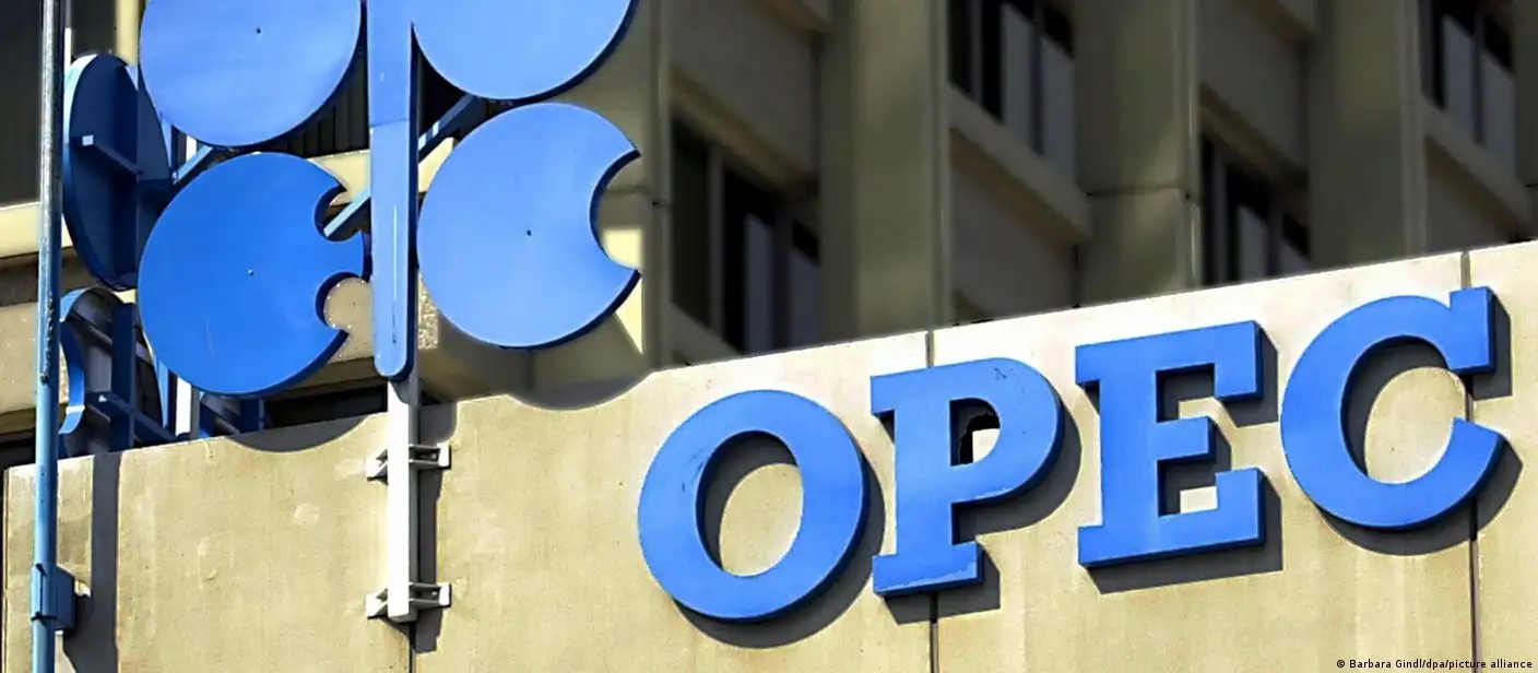 Why did UAE announce its withdrawal from OPEC and OPEC+