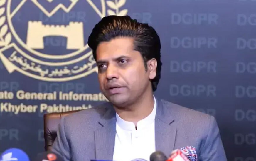 Shafi Jan: Provincial economies suffering due to federal economic failures