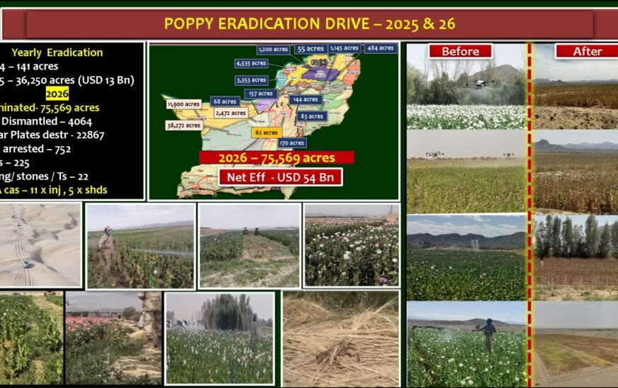 Massive anti-narcotics operation wipes out poppy crops across Balochistan