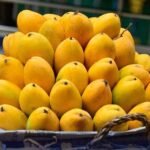 Mango export banned