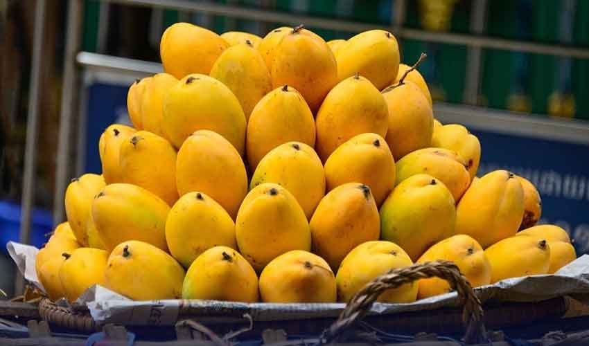 Why did Pakistan ban mango exports before June 01