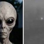 Aliens