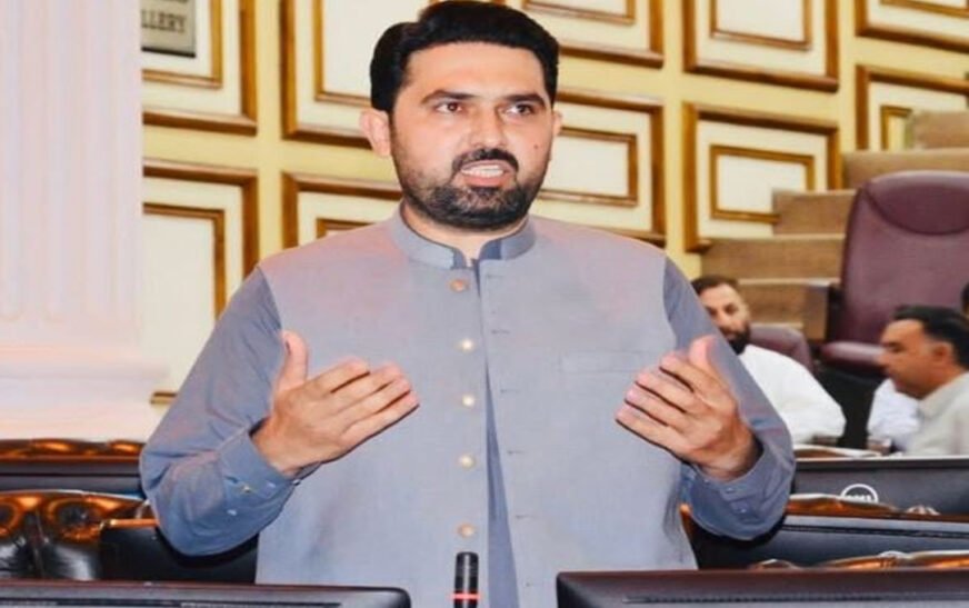 Chief Minister of Khyber Pakhtunkhwa, Sohail Afridi has formally assigned portfolios to provincial ministers, advisers, and special assistants, according to an official notification issued by the Cabinet Wing.