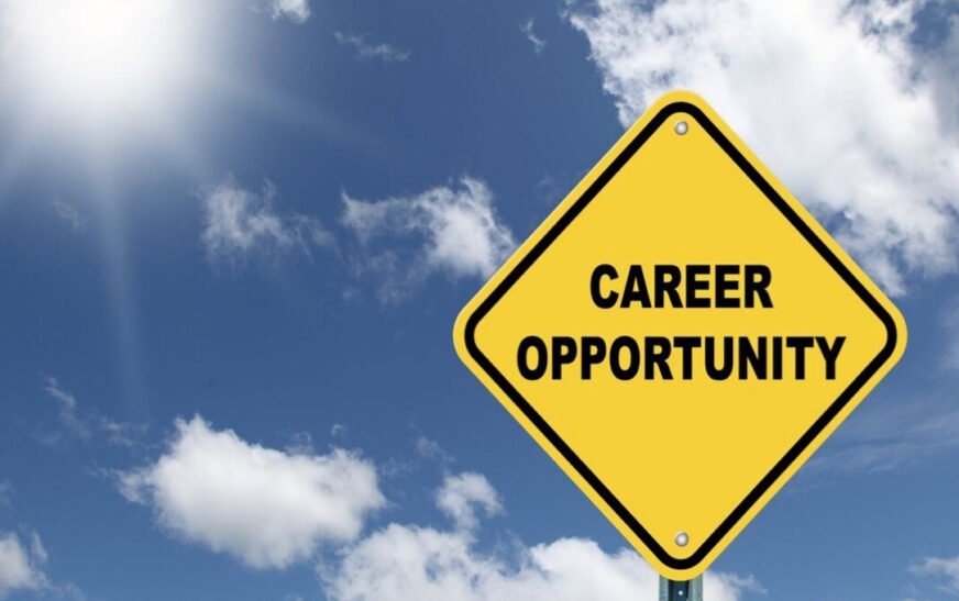 The Food and Agriculture Organization (FAO) has offered some new employment opportunities for individuals interested in working in the field of international development and agriculture.