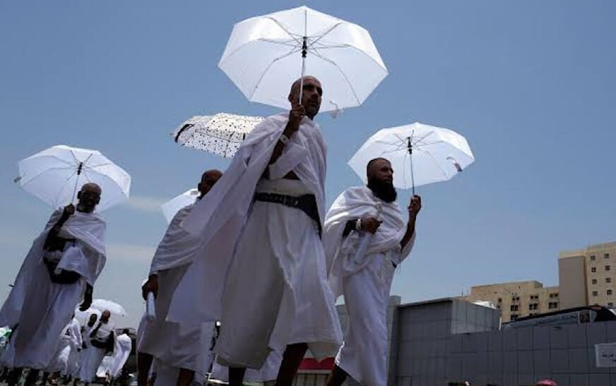 The government has announced the establishment of 35 modern medical clinics in Saudi Arabia to provide healthcare services to Pakistani pilgrims during the upcoming Hajj season.