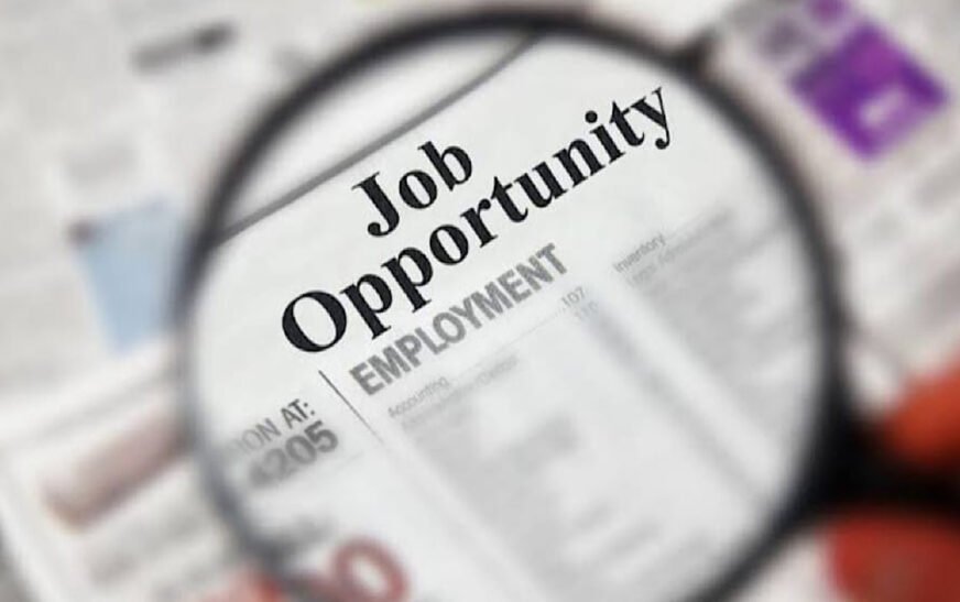 The Punjab Home Department has announced new job opportunities for skilled and enthusiastic candidates in its Project Media Think Tank: Resilience and Counter-Narrative Initiative.