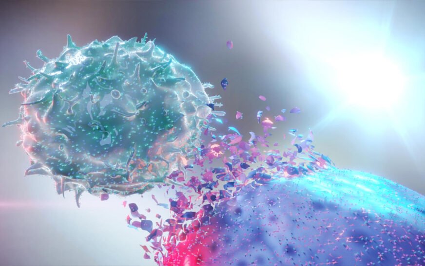 New study reveals surprising role of Vitamin B2 in cancer