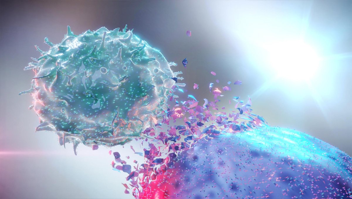 New study reveals surprising role of Vitamin B2 in cancer