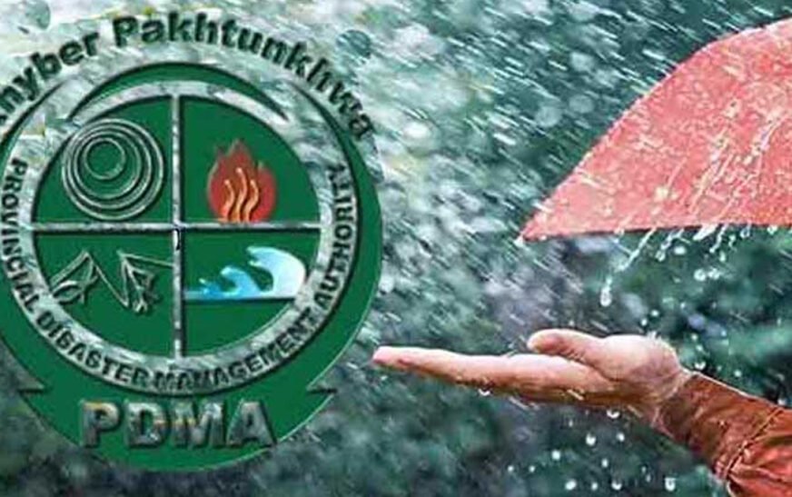 The Khyber Pakhtunkhwa Provincial Disaster Management Authority (PDMA) has released an initial report on the damage caused by overnight strong winds, dust storms, and heavy rainfall across the province.