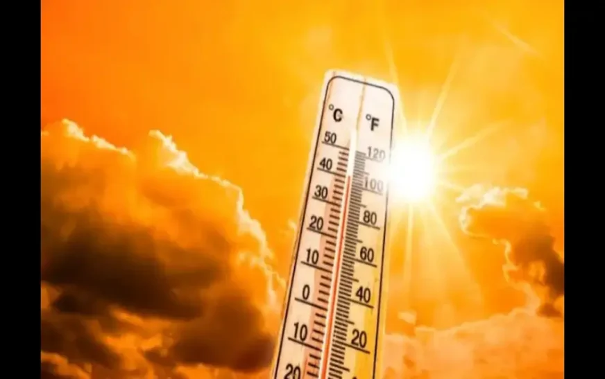 Pakistan’s Meteorological Department (PMD) has warned that severe heatwave conditions are expected across several parts of the country during the Eidul Azha holidays, with temperatures in some areas likely to reach up to 50 degrees Celsius.