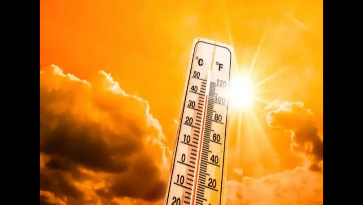 Europe swelters under intense heatwave, Germany breaks six-year temperature record