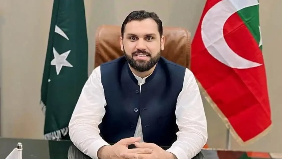 PTI committee slams Meena Khan Afridi over Peshawar street lights scandal