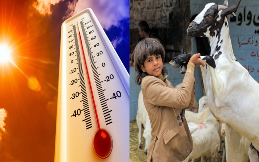 What to expect this Eid: PMD shares nationwide weather forecast