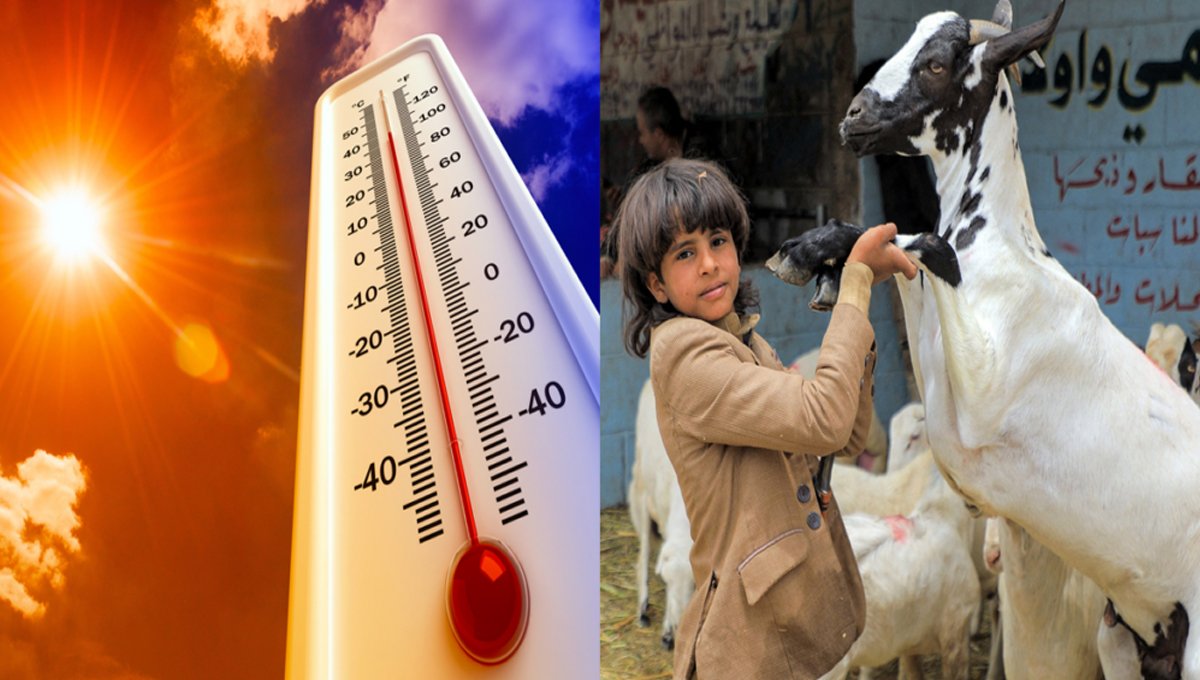 Hot, dry weather forecast for most districts across KP