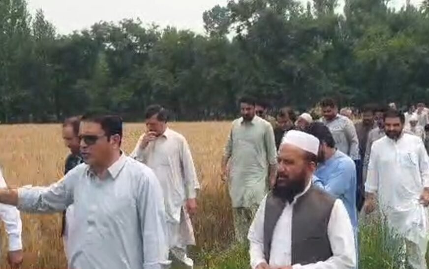 BUNER ELDERS