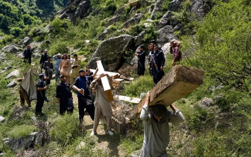KP forest department launches major operation against timber mafia in Swat