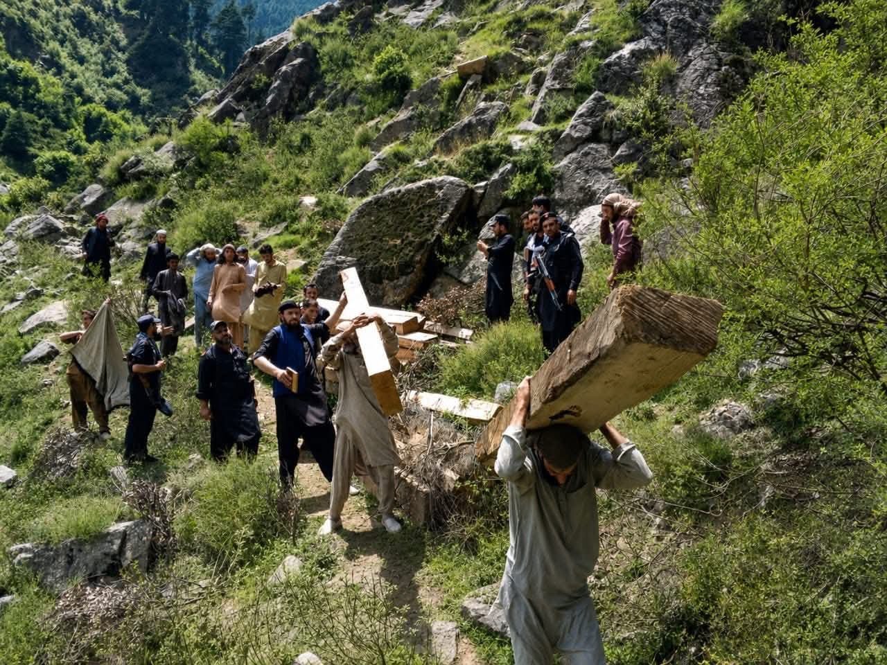 KP forest department launches major operation against timber mafia in Swat