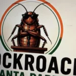 cocroach