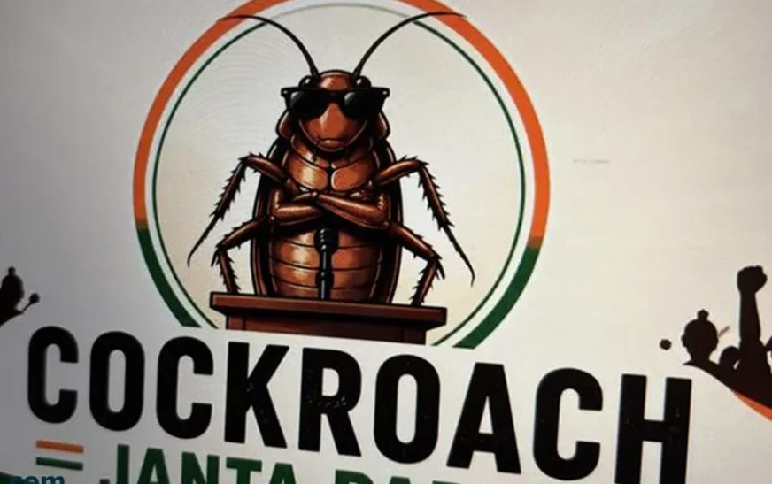 cocroach