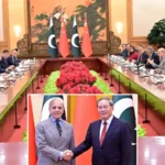 pm shehbaz