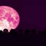 Straeberry Moon
