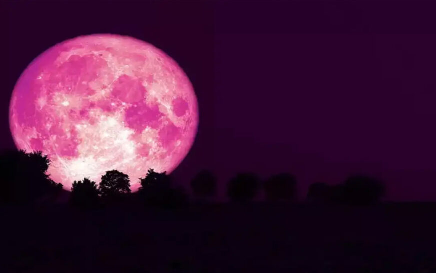 Straeberry Moon