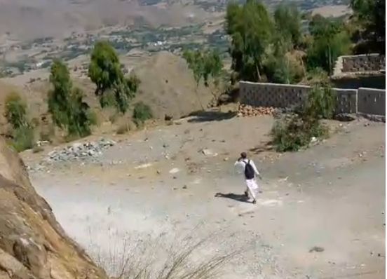 mohmand college