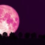 Strawberry Moon