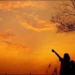 Longest Day