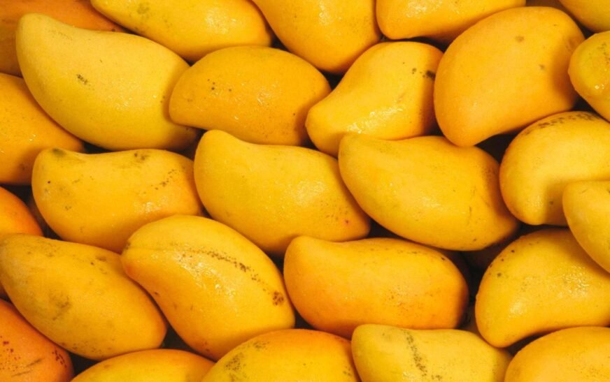 Pakistan’s mango exports drop 30pc