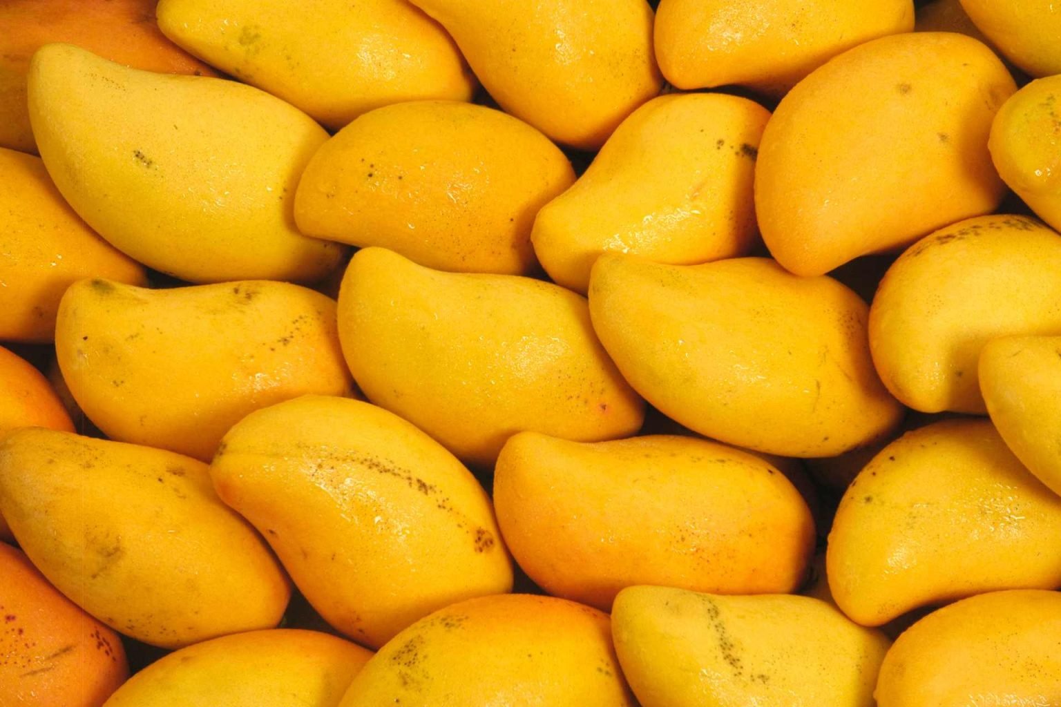 Pakistan’s mango exports drop 30pc