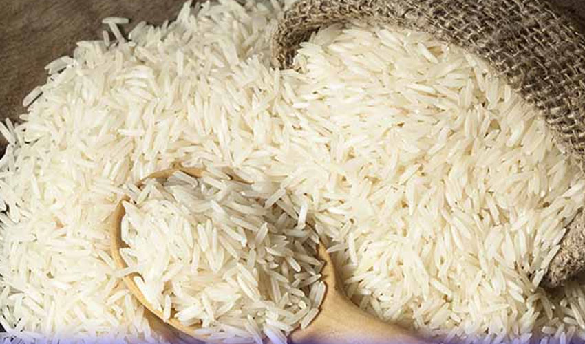Pakistani Rice Festival held successfully in the Netherlands