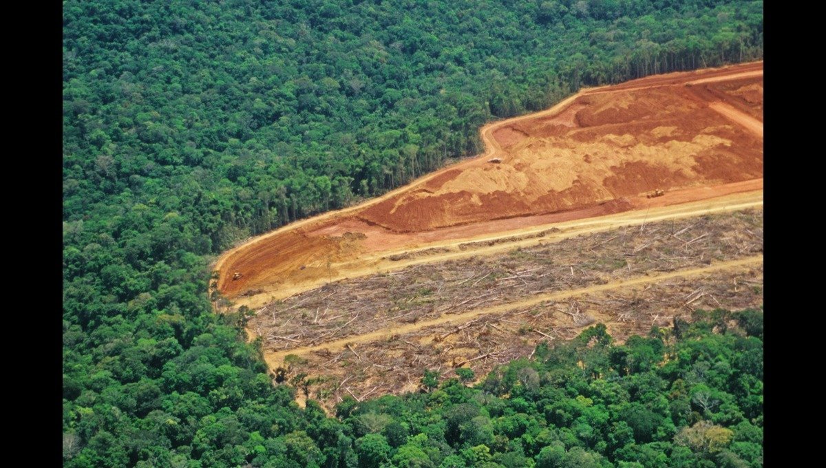 Deforestation Puts KP at Greater Risk of Floods, Landslides