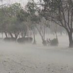 Pakistan is likely to experience above-normal temperatures, localized heatwaves and an increased risk of flooding during the July-to-September period, according to the latest seasonal outlook issued by the Pakistan Meteorological Department (PMD).