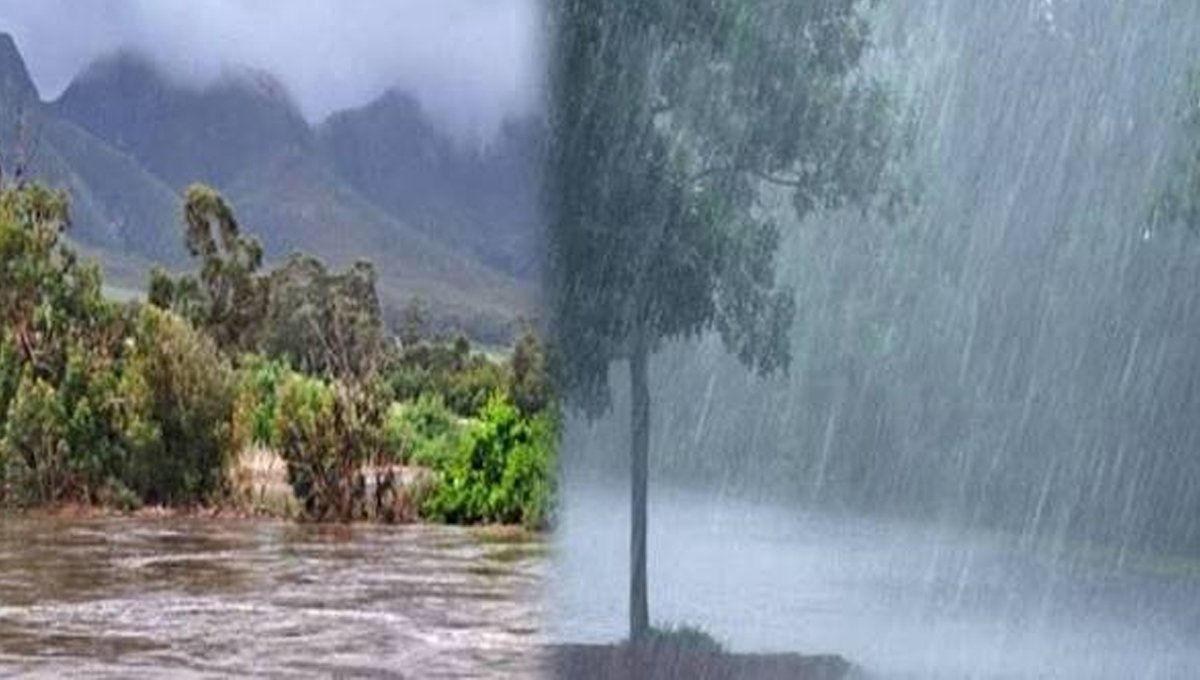 PDMA Issues Weather Alert for Heavy Rains, Thunderstorms Across KP