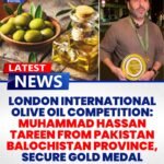 olive oil