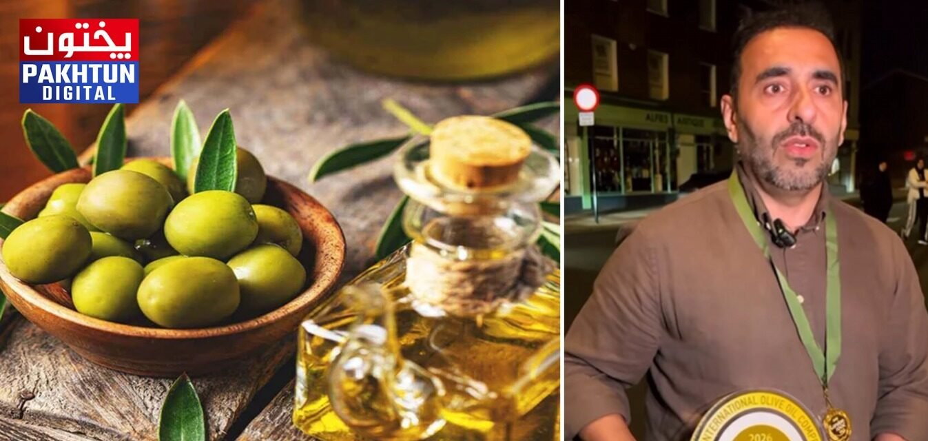 London International Olive Oil Competition: Muhammad Hassan Tareen from Pakistan Balochistan province, secure gold medal