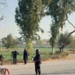 Police recovered