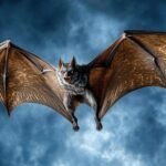 bat